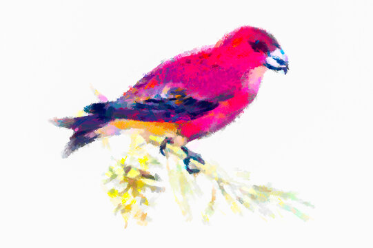 recommend clip art: red crossbill art on white background