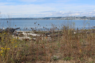 A distant view of White Rock, Canada from Semiahmoo beach in late summer