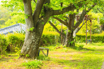 日本　長崎県長崎市の東山手十二番館
