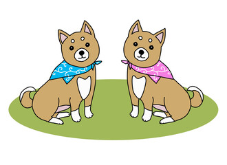 2頭の色違いのバンダナをつけた柴犬