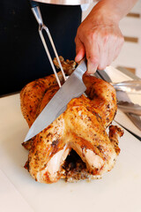 roasted turkey or chicken basted with oil and herbs and cooked in the oven, christmas special