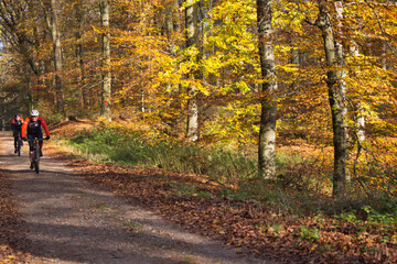 Radfahrer im Herbstwald