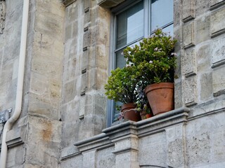 Fototapeta na wymiar view of the window in bordeaux france