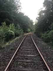 Fototapeta premium railway in the forest