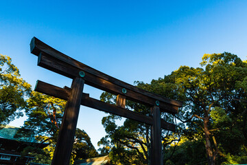 日本　東京都渋谷区代々木、明治神宮の鳥居