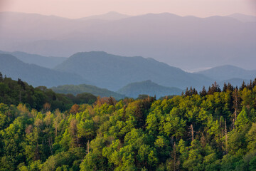 Peeking Over the Ridge Line
