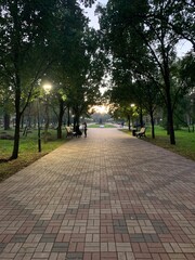 walk in the park