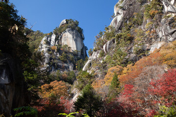 Obraz premium 紅葉の岩山
