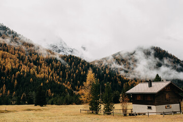 Golden Larks in Switzerland, Engadin