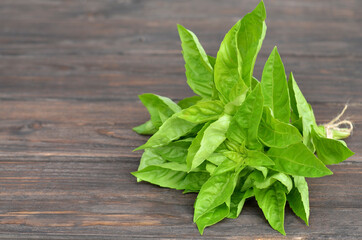 Bunch fresh green basil on an old wooden background with copy space