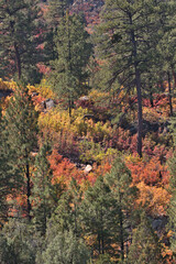 Autumn colors in the San Juan Mountains in southern Colorado