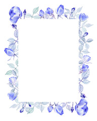 Tender frame of blue roses painted in watercolors on a white isolated background. Nice artwork for cards, invitations, diplomas and other information. 