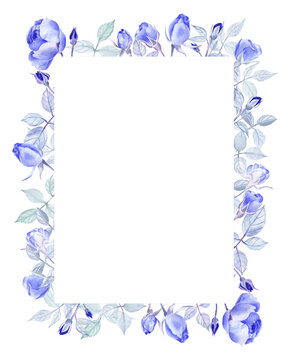 Tender frame of blue roses painted in watercolors on a white isolated background. Nice artwork for cards, invitations, diplomas and other information. 