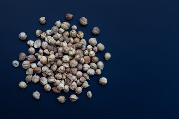 Siam Cardamom or Kapulaga on dark background.