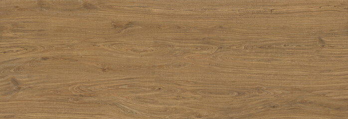 Wood texture background, seamless wood floor texture - 392365359