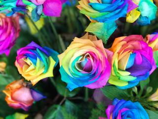 Fototapeta na wymiar Bouquet of rainbow roses for decoration
