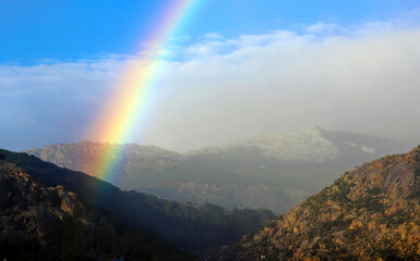 Arcoiris 