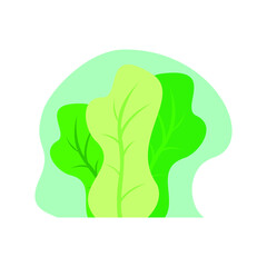 leaves flat design illustration vector, set of leaves, plants, flat design
