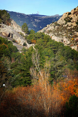 Otoño en Guadarrama
