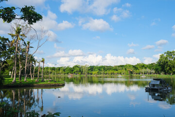 Fototapeta na wymiar Green tree park meadow pool against blue sky with cloud