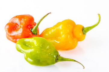 Fresh and Colorful Chili Peper