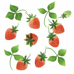 いちごの手描きイラスト/水彩風