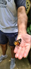 person holding a ball