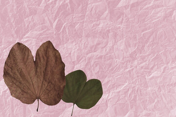 Dry leaves on wrinkled paper for background