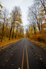 A road through forest with Autumn yellow leaves at Pictured Rock National Lakeshore in Michigan. Fall colors