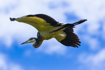 Up in sky..