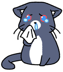 アレルギーもちの白黒猫