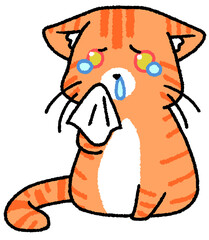 アレルギーもちの茶トラ猫