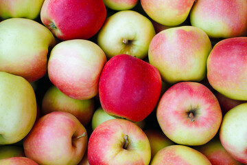  red and green apples on the market      