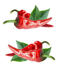 Two red hot peppers isolated on white. Savory culinary ingredient, seasoning