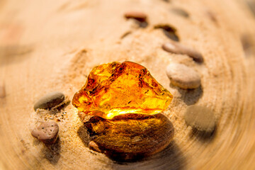 Amber on a beach of the Baltic Sea