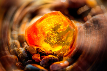 Amber on a beach of the Baltic Sea