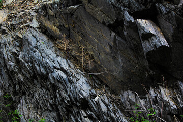 The oblique texture of colorful layered stone of Shale.