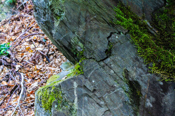 The oblique texture of colorful layered stone of Shale.