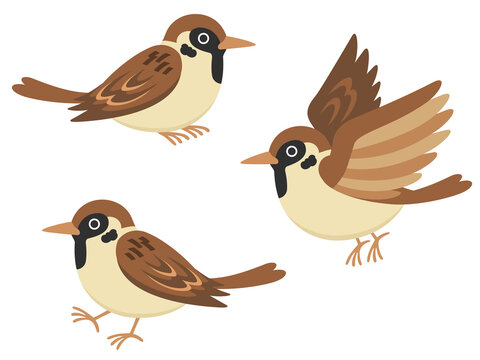 すずめ の画像 9 246 件の Stock 写真 ベクターおよびビデオ Adobe Stock