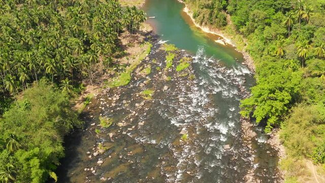 River in a rainforest among palm trees and tropical trees. Cagayan de Oro river. Mindanao, Philippines.