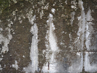 concrete with moss background