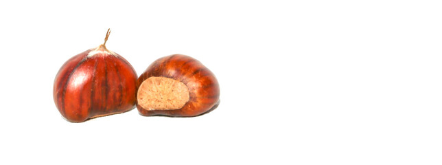 chestnuts isolated for background autumn season food