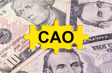Fototapeta premium Puzzle with the image of dollars in the center of the inscription -CAO