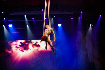 Aerialist perform live in the show.