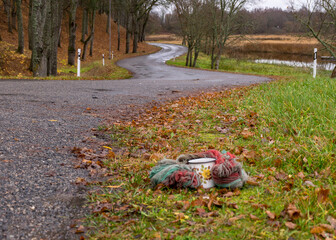 gloomy autumn landscape with wet road, metal cup wrapped in wool, large bare trees by the roadside, autumn