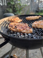 grilled meat on the grill
