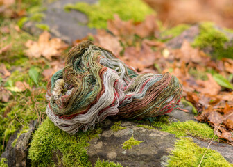 stones overgrown with green moss, colored wool yarn skeins, handicraft concept, hand knitting, autumn time, handicrafts