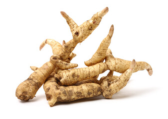 Polygonatum sibiricum on white background