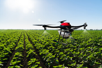 Drone sprayer flies over the agricultural field. Smart farming and precision agriculture