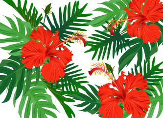 Tropical flowers hibiscus orange red purple green leaves seamless pattern white background. Exotic fabric wallpaper illustration